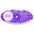 CURV-F-01010604-11 FABULOUS CURVE Each