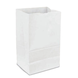 51040 20# WHITE PAPER BAG 500/CS