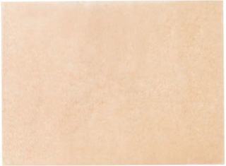 PL1216EB ECO BAKE 12X16 PAN LINER 2000/CS