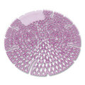 BGD629 BIG D URINAL SCREEN LAVENDER LACE SCENT 10/BX