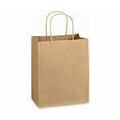 FP-SB110 KRAFT PAPER SHOPPING BAG W/HANDLE 9.6 X 5.3 X 13.4 250/CS