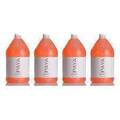 1026207 PAYA SHAMPOO ORGANIC 4/CS