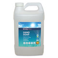 EOPPL966304 EARTH LIQUID HAND SOAP, FREE AND CLEAR, 1 GAL Gallon
