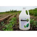 IO-PKJC-XKZ2 VERDILIFE WOOD VINEGAR Gallon