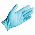 FP-GN1029 XL POWDER FREE NITRILE GLOVES (BLUE) 1000/CS