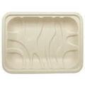 TR-SC-8P-LFP 10.5 X 8.5 IN FIBER TRAY 480/CS