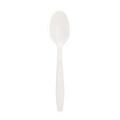 KE-U2023 KARAT EARTH COMPOSTABLE SPOON 1000/CS
